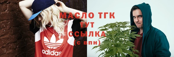 дмт Абаза