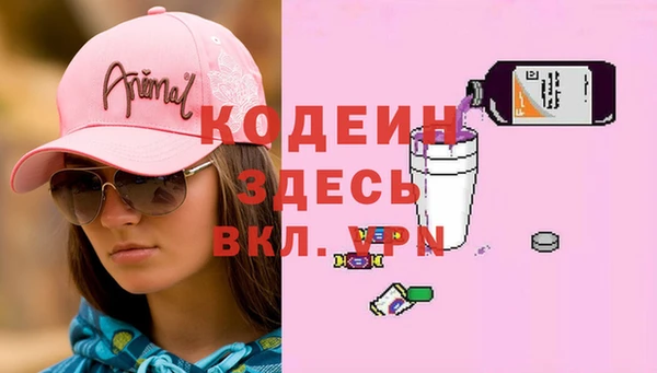 дмт Абаза