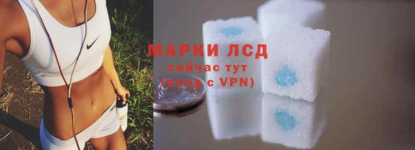 стаф Гатчина