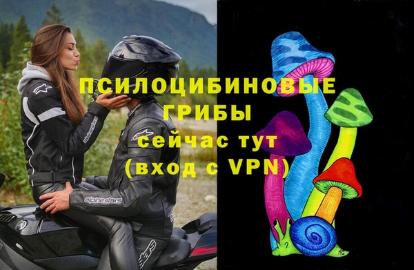 дмт Абаза