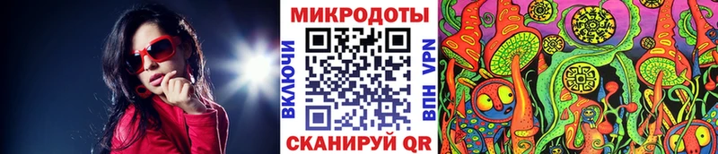 хочу наркоту  Инта  Псилоцибиновые грибы Psilocybe 