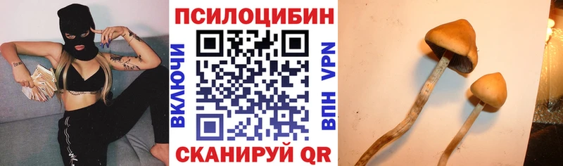 Псилоцибиновые грибы MAGIC MUSHROOMS Инта
