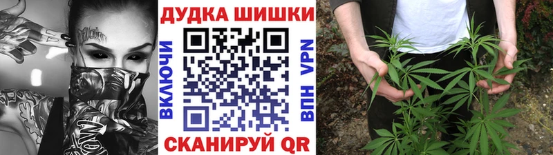 MEGA рабочий сайт  как найти закладки  Инта  Бошки Шишки Amnesia 